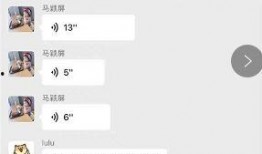 网红被前任爆料视频大全,网红隐私曝光，揭秘网络红人背后的真相